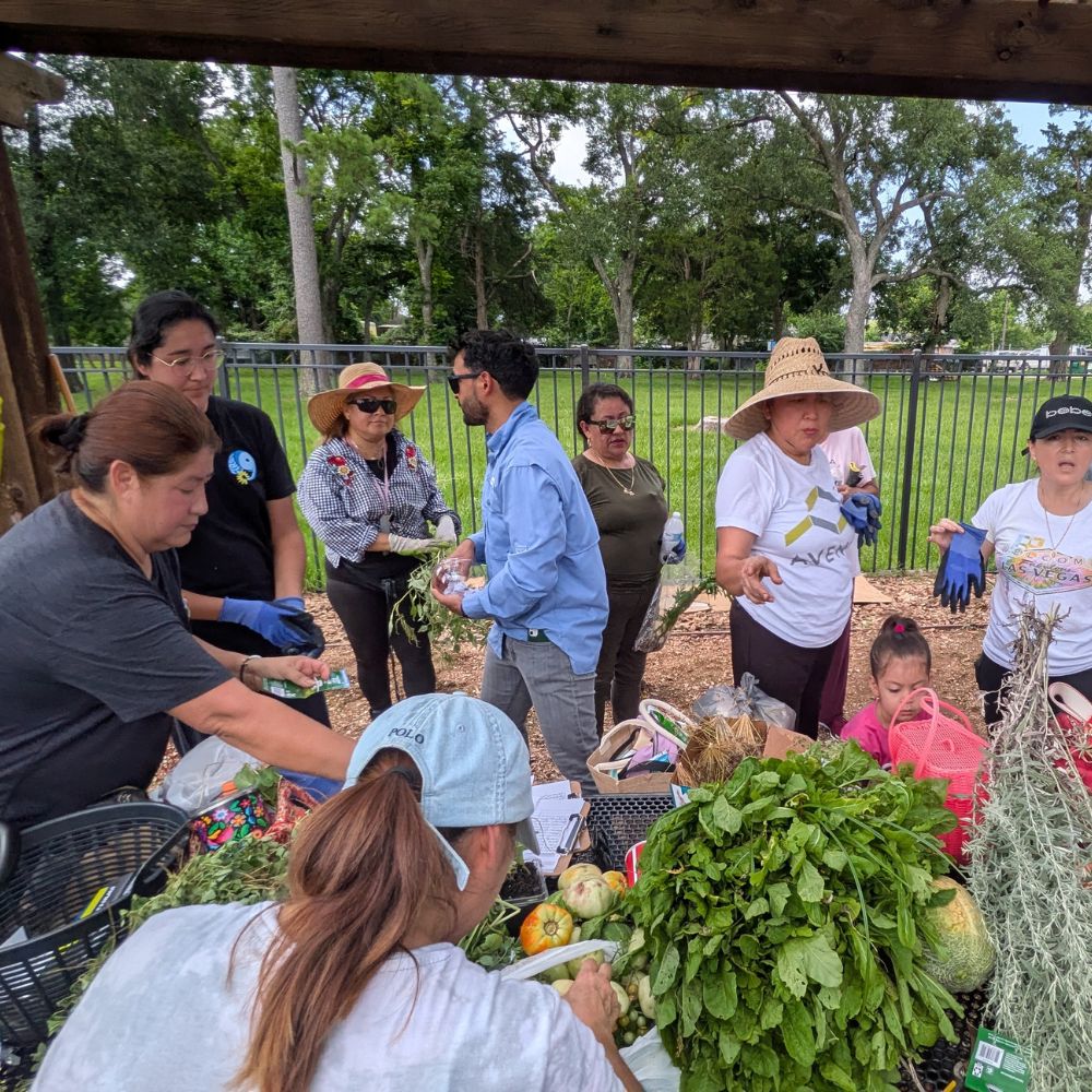 Group of volunteers sorting and distributing fresh vegetables and herbs outdoors in a park setting.